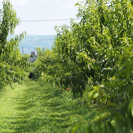 Agriturismo Fior Di Maggio Pescantina Buitenkant foto