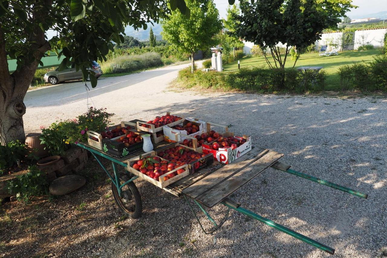 Agriturismo Fior Di Maggio Pescantina Buitenkant foto