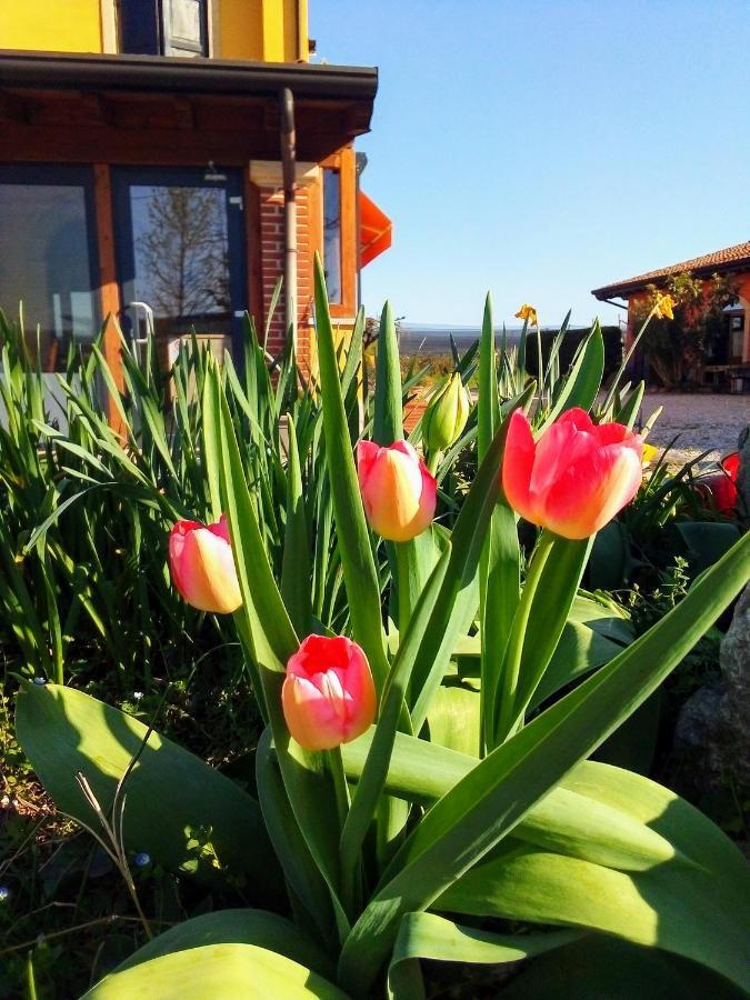 Agriturismo Fior Di Maggio Pescantina Buitenkant foto
