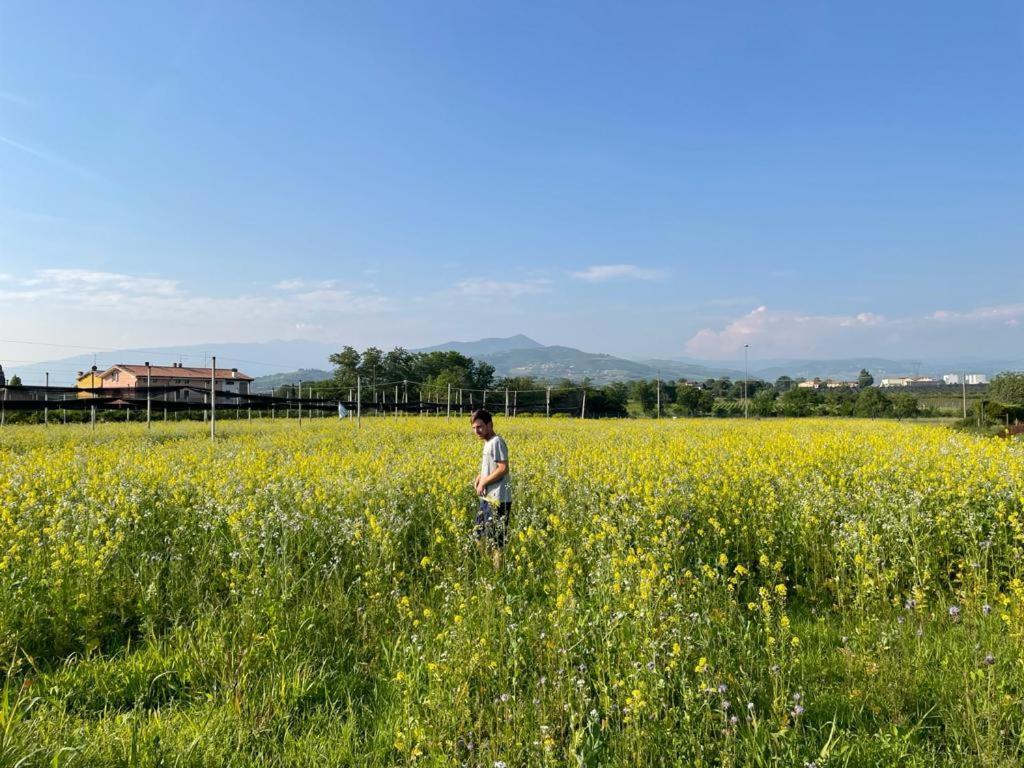Agriturismo Fior Di Maggio Pescantina Buitenkant foto
