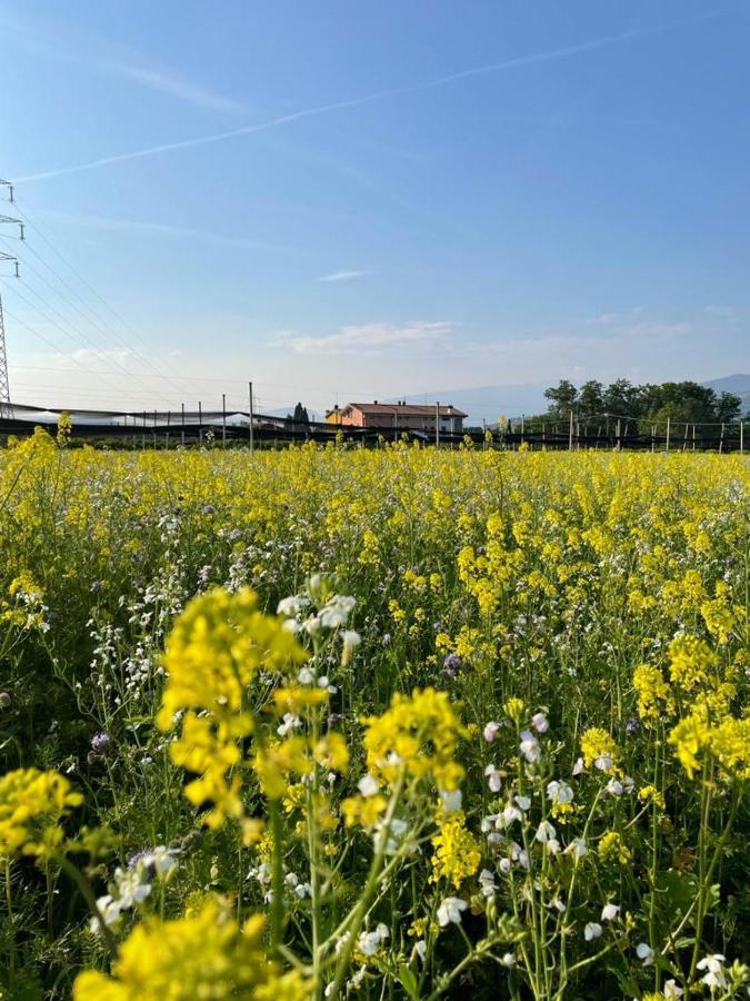 Agriturismo Fior Di Maggio Pescantina Buitenkant foto