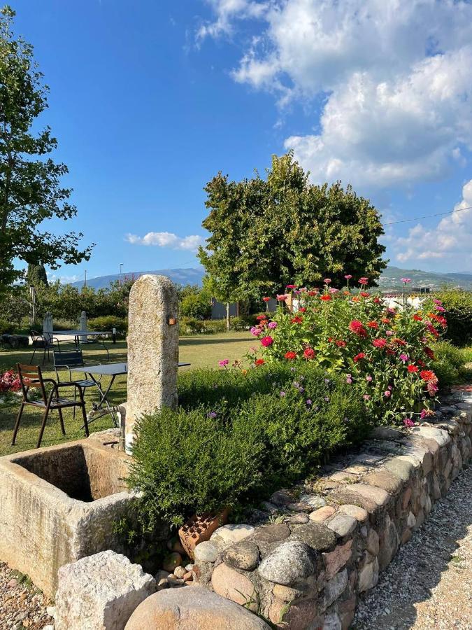 Agriturismo Fior Di Maggio Pescantina Buitenkant foto