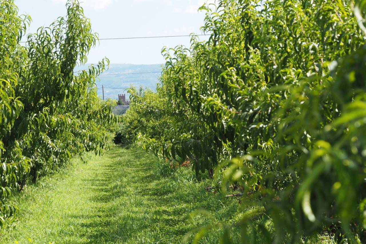 Agriturismo Fior Di Maggio Pescantina Buitenkant foto