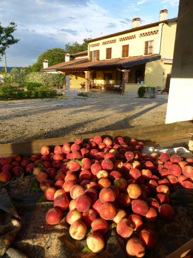 Agriturismo Fior Di Maggio Pescantina Buitenkant foto